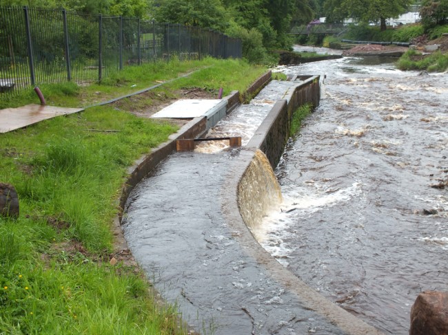 Adequate flow in the fish pass to allow free passage for salmon running the river. 