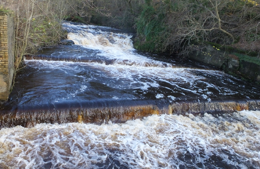 Ayrshire Rivers Trust | Kilmarnock Water