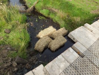 Bales are an effective means of catching suspended sediment