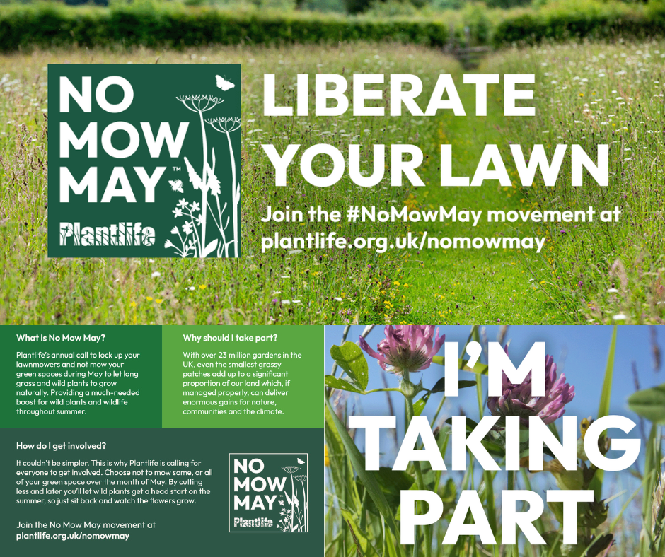 No Mow May is here! Ayrshire Rivers Trust